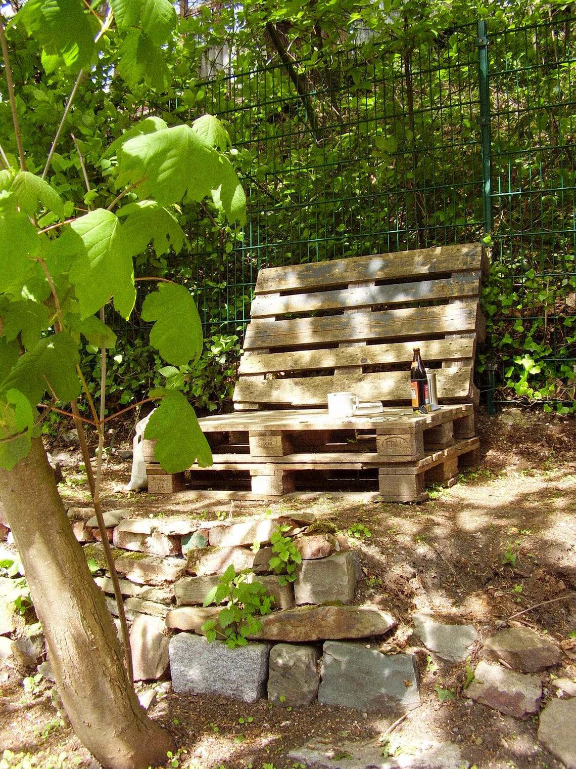 My morning in the Garden
